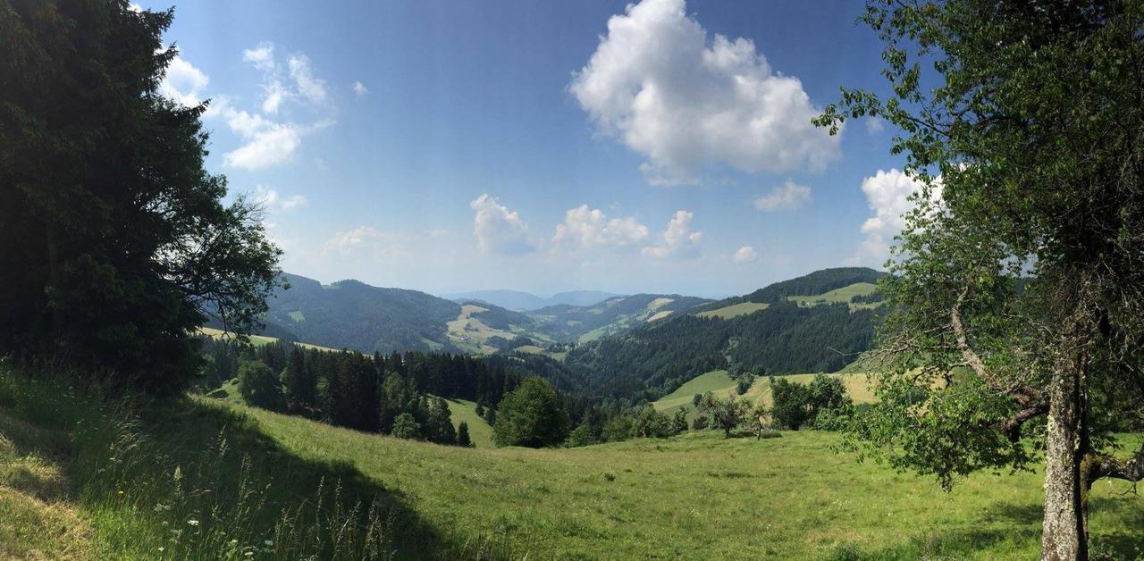Gasthof Gutmann Eberstein Zewnętrze zdjęcie